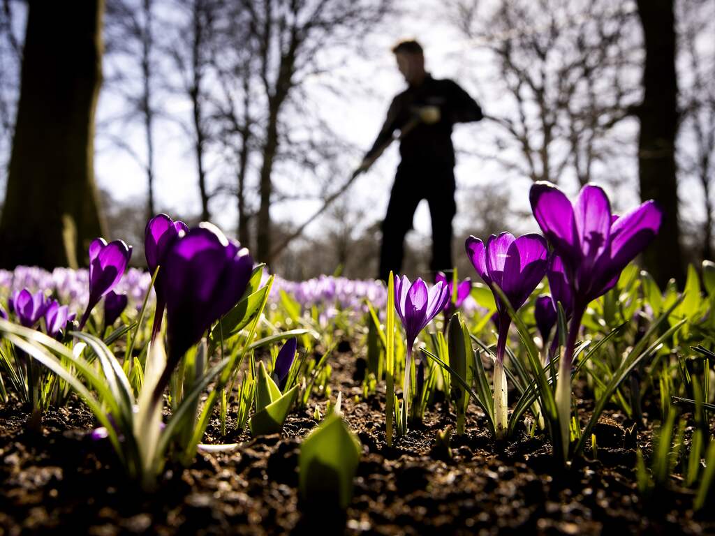 Weerbericht | Het wordt steeds meer lente, maar die jas heb je nog wel nodig