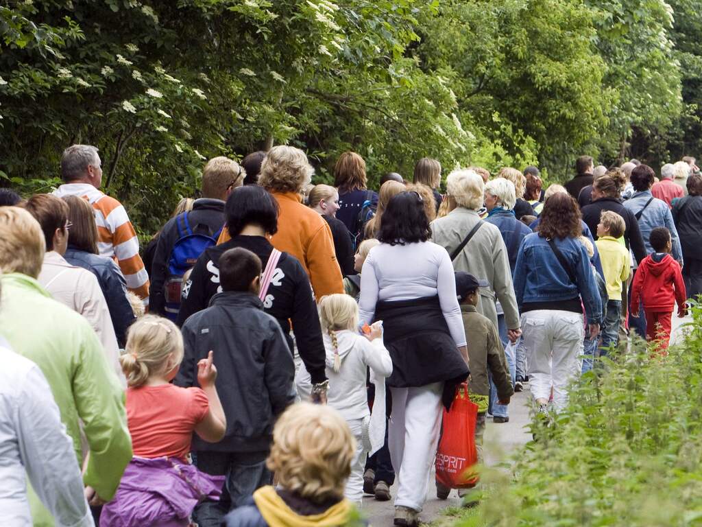 Loop jij de avondvierdaagse? Deel je foto's met ons