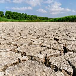 NU+ | Steeds minder zoet water door droogte: 'Moeten beter voor bodem zorgen'