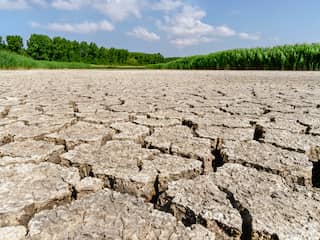 Nederland moet zoet water beter vasthouden, en dat vergt stevig beleid
