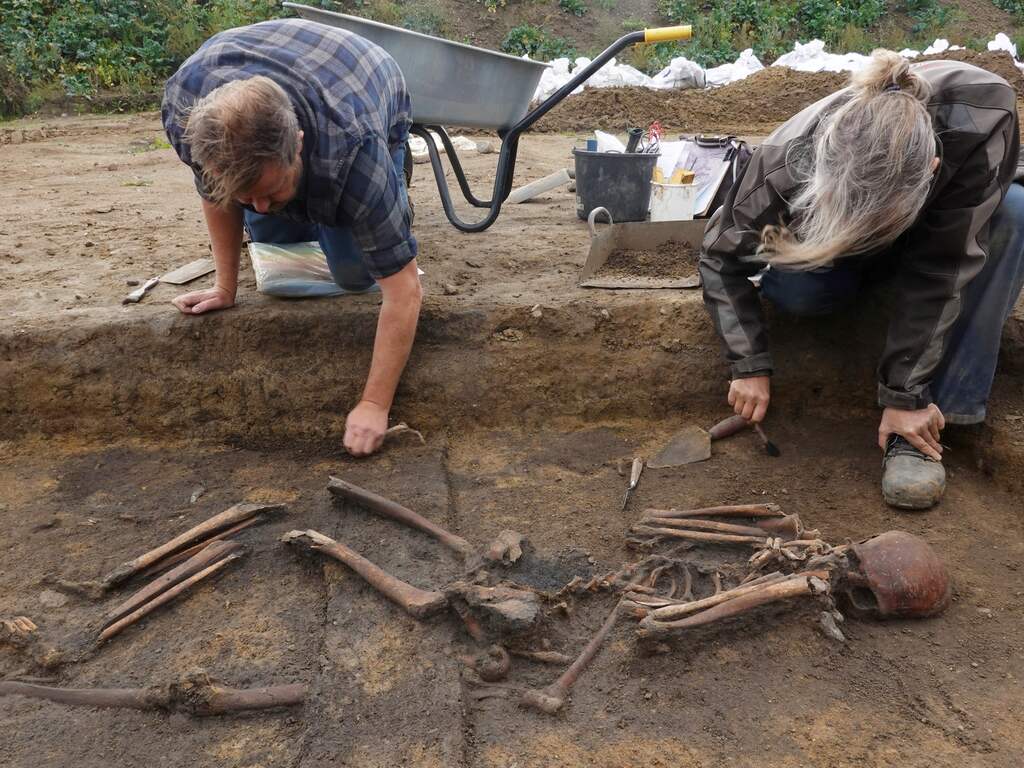 Vijftig skeletten uit Vikingtijd in 'uitzonderlijke staat' opgegraven in Denemarken
