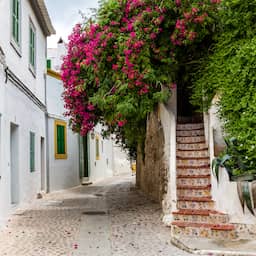 Vakantieverhuur op Ibiza bijna gehalveerd door strengere Spaanse regels