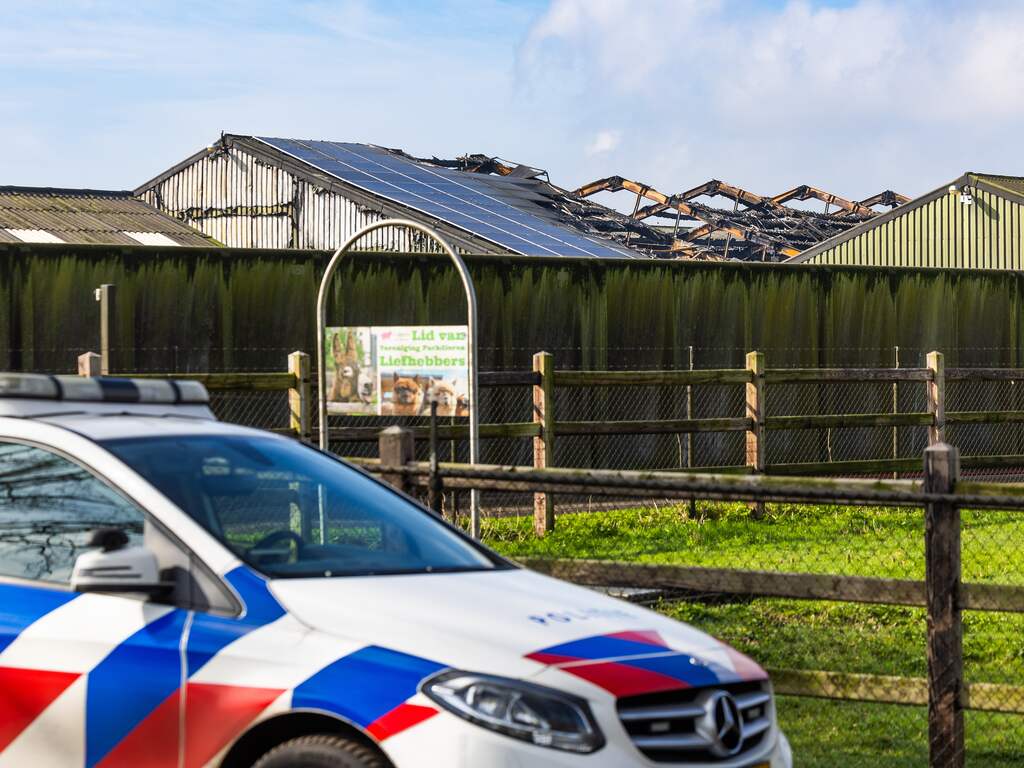 Verdachte van stalbrand waarbij 4.000 varkens zijn omgekomen is 30-jarige man