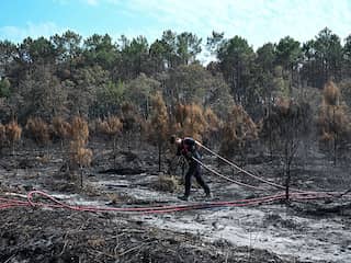 Door bosbranden geteisterde julimaand was warmste ooit gemeten in Frankrijk