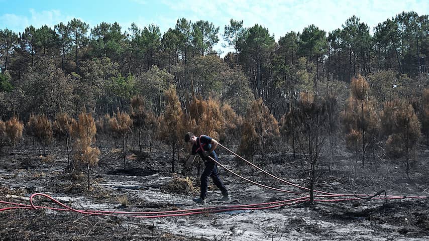 Door bosbranden geteisterde julimaand was warmste ooit gemeten in Frankrijk