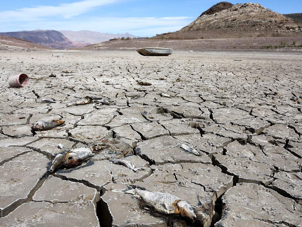 Vierde lichaam gevonden in Amerikaans meer na extreme daling waterpeil