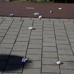 Muizen in plastic zakjes gevonden op straat in Den Haag: 'Dierenmishandeling'