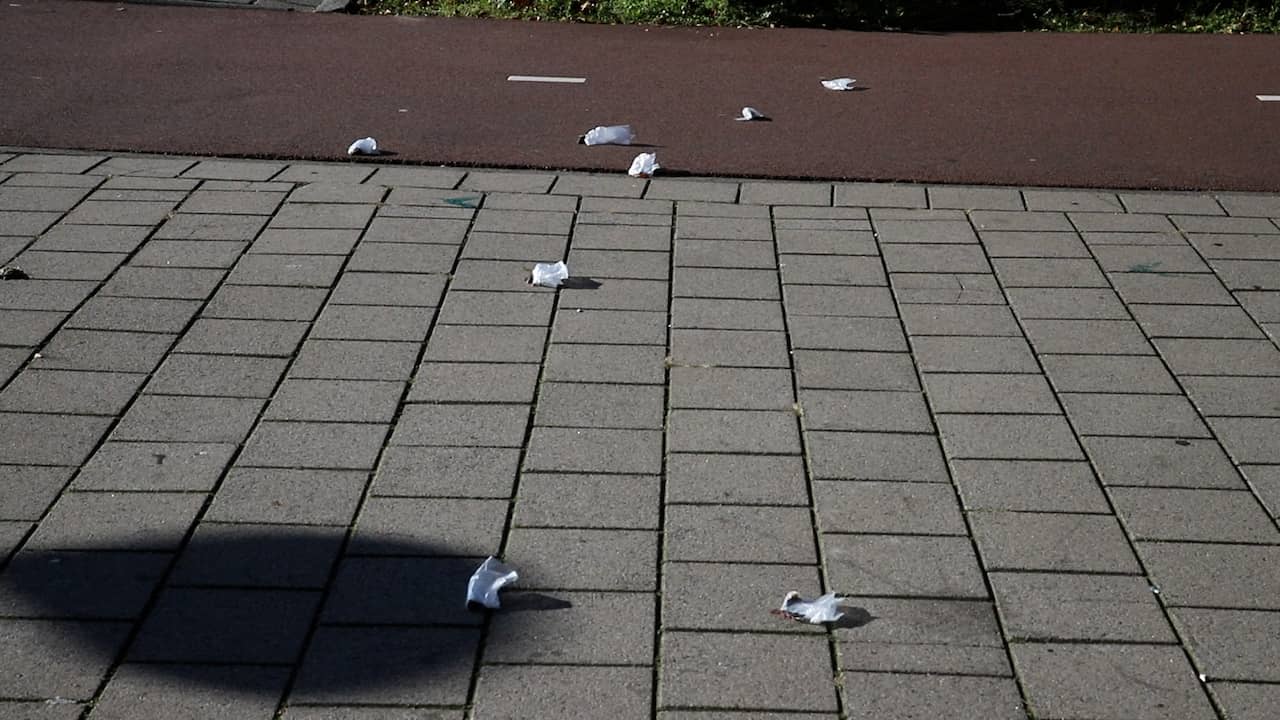 Muizen in plastic zakjes gevonden op straat in Den Haag: 'Dierenmishandeling'