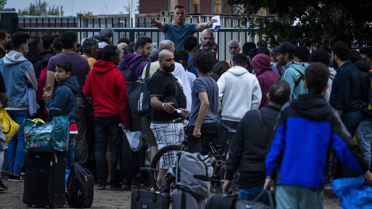 Asielzoeker meestal 'echte' vluchteling: één op vijf moet terug | Binnenland | NU.nl
