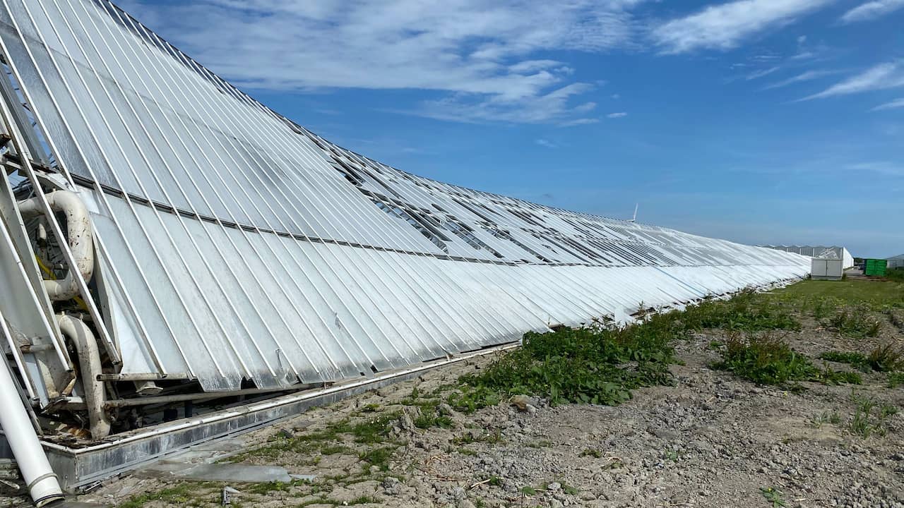 Kas van 9 hectare ingestort in Middenmeer, mogelijk zo'n 20 miljoen euro schade