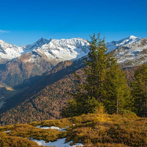 Illustratie bij: Nederlander glijdt uit en valt 30 meter naar beneden in Oostenrijkse Alpen