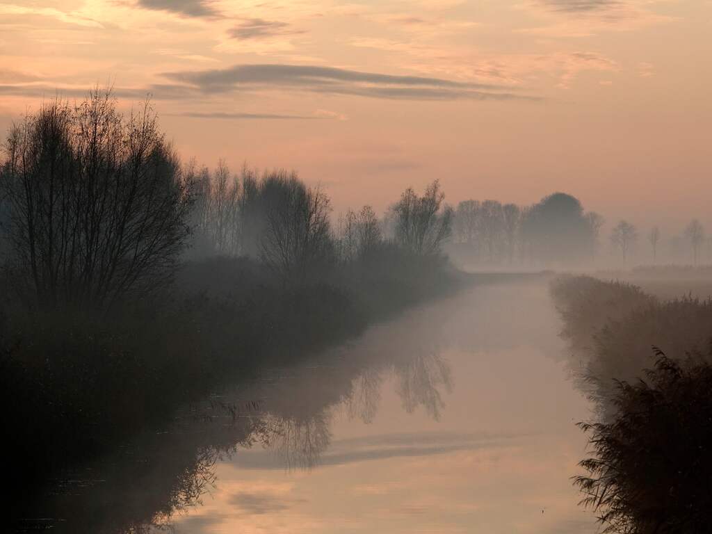 Weerbericht: Grijs en bewolkt, regionaal dichte mist